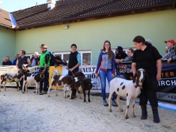 2019_ausstellung polling_698